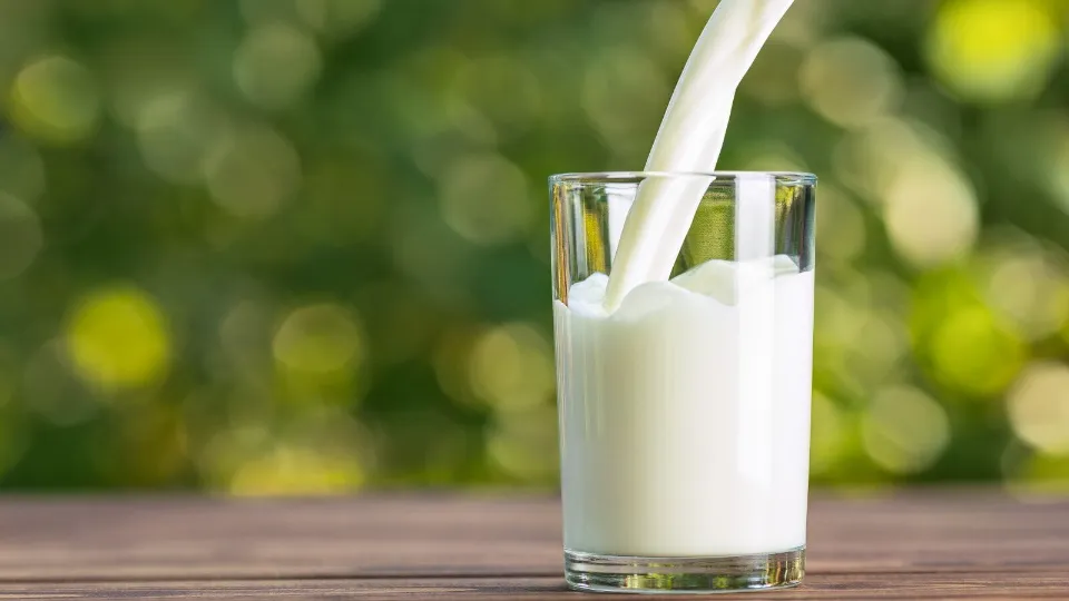 Is Vitamin D Milk Good for You? (2023 Explained)